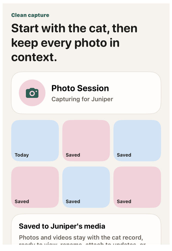 Cat media preview showing a camera session and saved cat media grid.